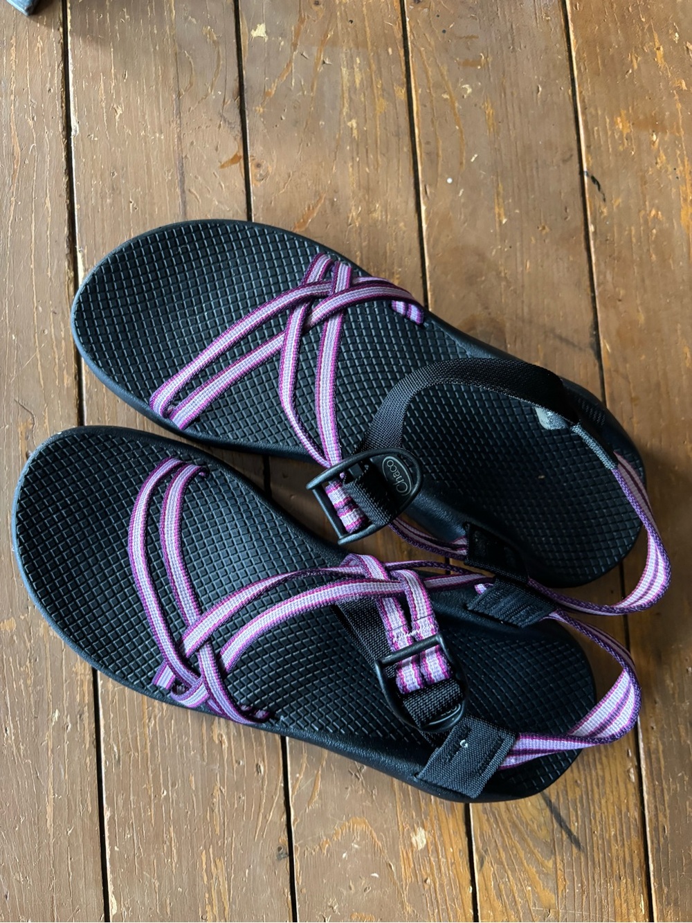 Chaco Z/Cloud X2 Black Sandal with Purple Straps